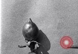 Standbild Boll Weevil United States USA, 1930, aus Sekunde 45 historischem Filmmaterial Videoclip 65675028373
