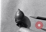 Standbild Boll Weevil United States USA, 1930, aus Sekunde 48 historischem Filmmaterial Videoclip 65675028373