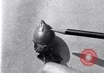 Standbild Boll Weevil United States USA, 1930, aus Sekunde 52 historischem Filmmaterial Videoclip 65675028373
