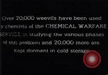 Standbild Boll Weevil United States USA, 1930, aus Sekunde 14 historischem Filmmaterial Videoclip 65675028374