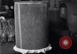 Standbild Boll Weevil United States USA, 1930, aus Sekunde 30 historischem Filmmaterial Videoclip 65675028374