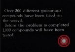 Standbild Boll Weevil United States USA, 1930, aus Sekunde 40 historischem Filmmaterial Videoclip 65675028374