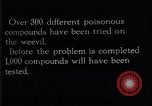 Standbild Boll Weevil United States USA, 1930, aus Sekunde 42 historischem Filmmaterial Videoclip 65675028374