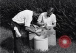 Standbild Boll Weevil United States USA, 1930, aus Sekunde 47 historischem Filmmaterial Videoclip 65675028374