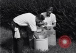 Standbild Boll Weevil United States USA, 1930, aus Sekunde 48 historischem Filmmaterial Videoclip 65675028374