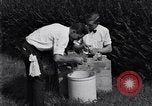 Standbild Boll Weevil United States USA, 1930, aus Sekunde 49 historischem Filmmaterial Videoclip 65675028374