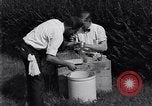 Standbild Boll Weevil United States USA, 1930, aus Sekunde 50 historischem Filmmaterial Videoclip 65675028374