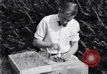 Standbild Boll Weevil United States USA, 1930, aus Sekunde 51 historischem Filmmaterial Videoclip 65675028374