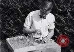 Standbild Boll Weevil United States USA, 1930, aus Sekunde 52 historischem Filmmaterial Videoclip 65675028374