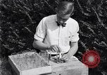 Standbild Boll Weevil United States USA, 1930, aus Sekunde 53 historischem Filmmaterial Videoclip 65675028374
