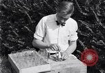Standbild Boll Weevil United States USA, 1930, aus Sekunde 54 historischem Filmmaterial Videoclip 65675028374