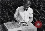 Standbild Boll Weevil United States USA, 1930, aus Sekunde 55 historischem Filmmaterial Videoclip 65675028374