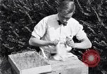 Standbild Boll Weevil United States USA, 1930, aus Sekunde 58 historischem Filmmaterial Videoclip 65675028374