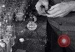 Image of Boll Weevil United States USA, 1930, second 25 stock footage video 65675028375