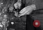 Image of Boll Weevil United States USA, 1930, second 26 stock footage video 65675028375