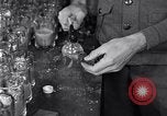 Image of Boll Weevil United States USA, 1930, second 30 stock footage video 65675028375