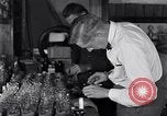Image of Boll Weevil United States USA, 1930, second 41 stock footage video 65675028375