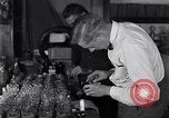 Image of Boll Weevil United States USA, 1930, second 42 stock footage video 65675028375