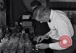 Image of Boll Weevil United States USA, 1930, second 44 stock footage video 65675028375