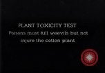 Image of Boll Weevil United States USA, 1930, second 1 stock footage video 65675028376
