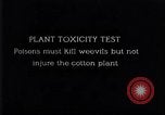 Image of Boll Weevil United States USA, 1930, second 7 stock footage video 65675028376