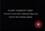 Image of Boll Weevil United States USA, 1930, second 9 stock footage video 65675028376