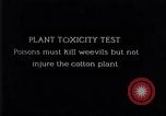 Image of Boll Weevil United States USA, 1930, second 11 stock footage video 65675028376