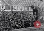 Image of Boll Weevil United States USA, 1930, second 17 stock footage video 65675028376