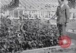 Image of Boll Weevil United States USA, 1930, second 20 stock footage video 65675028376