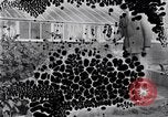 Image of Boll Weevil United States USA, 1930, second 21 stock footage video 65675028376