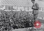 Image of Boll Weevil United States USA, 1930, second 42 stock footage video 65675028376