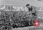 Image of Boll Weevil United States USA, 1930, second 46 stock footage video 65675028376