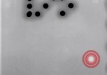 Image of Boll Weevil United States USA, 1930, second 50 stock footage video 65675028376