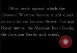 Image of harmful insects United States USA, 1930, second 1 stock footage video 65675028377