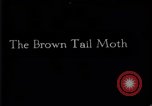 Image of harmful insects United States USA, 1930, second 25 stock footage video 65675028377