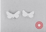 Image of harmful insects United States USA, 1930, second 30 stock footage video 65675028377