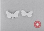 Image of harmful insects United States USA, 1930, second 31 stock footage video 65675028377