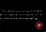 Image of harmful insects United States USA, 1930, second 32 stock footage video 65675028377