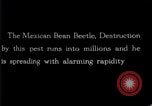 Image of harmful insects United States USA, 1930, second 33 stock footage video 65675028377