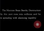 Image of harmful insects United States USA, 1930, second 36 stock footage video 65675028377