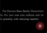 Image of harmful insects United States USA, 1930, second 37 stock footage video 65675028377