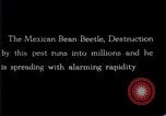 Image of harmful insects United States USA, 1930, second 41 stock footage video 65675028377