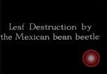 Image of harmful insects United States USA, 1930, second 61 stock footage video 65675028377