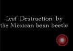 Image of harmful insects United States USA, 1930, second 62 stock footage video 65675028377