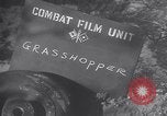 Image of piper cub Pacific Theater, 1944, second 3 stock footage video 65675028378
