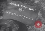 Image of piper cub Pacific Theater, 1944, second 4 stock footage video 65675028378