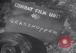 Image of piper cub Pacific Theater, 1944, second 5 stock footage video 65675028378