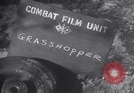 Image of piper cub Pacific Theater, 1944, second 7 stock footage video 65675028378