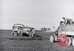 Image of Engineers Pacific Theater, 1944, second 24 stock footage video 65675028380