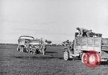 Image of Engineers Pacific Theater, 1944, second 26 stock footage video 65675028380